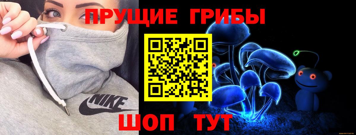 Псилоцибиновые грибы Cubensis  Вход с VPN  Псилоцибиновые грибы прущие грибы  Ангарск 